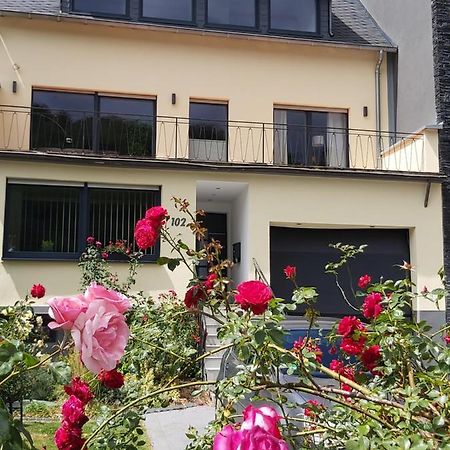 Ferienwohnung "Zum Klosterruinenblick" Kröv Exteriör bild