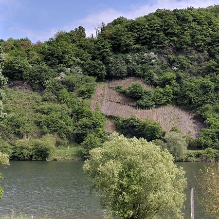 Ferienwohnung "Zum Klosterruinenblick" Kröv Exteriör bild