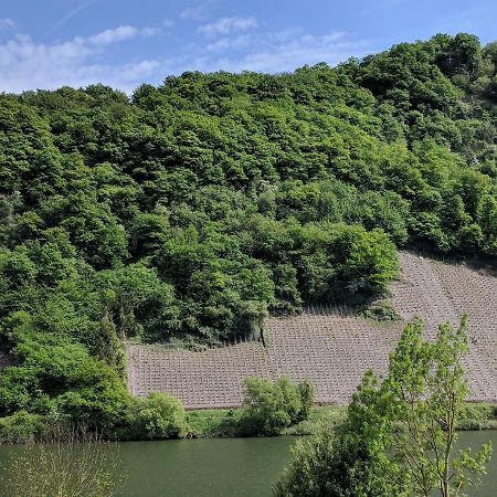 Ferienwohnung "Zum Klosterruinenblick" Kröv Exteriör bild