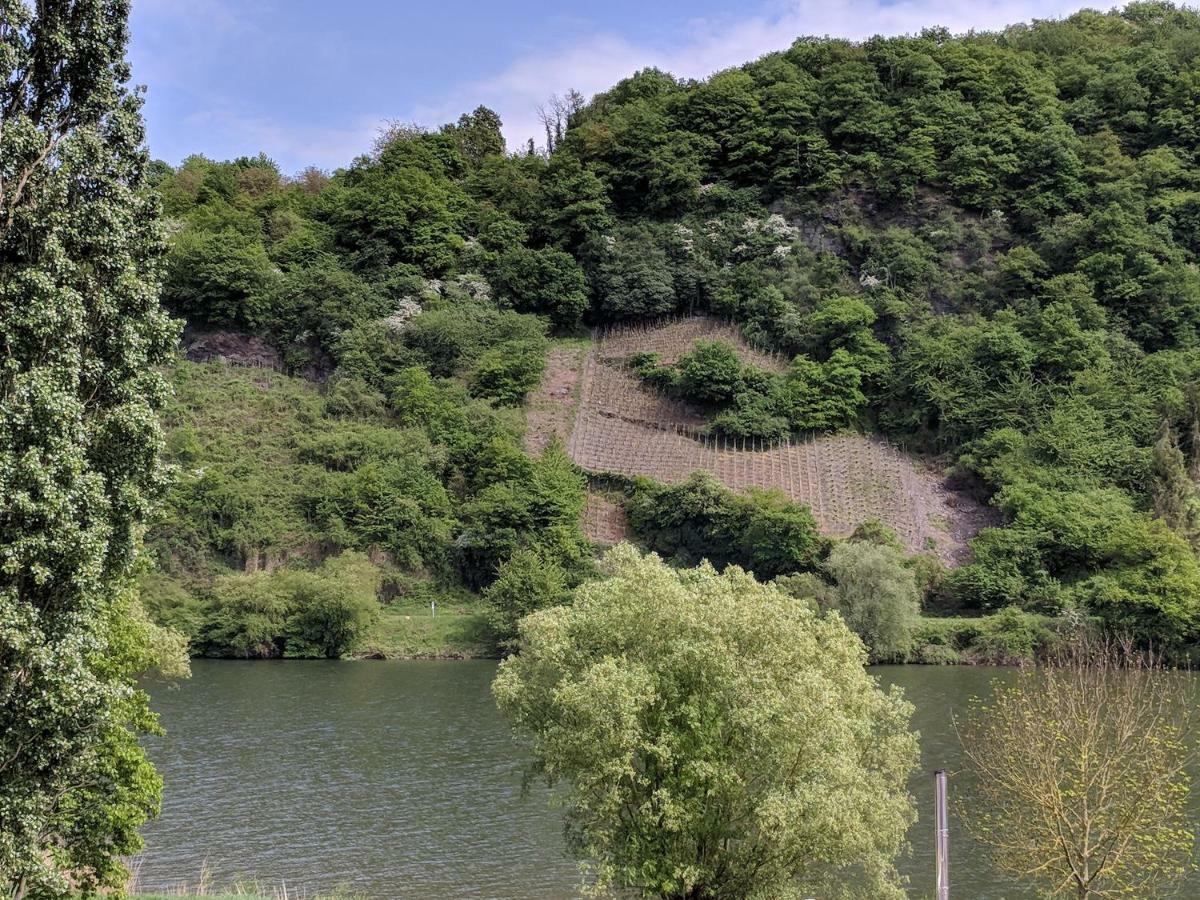 Ferienwohnung "Zum Klosterruinenblick" Kröv Exteriör bild